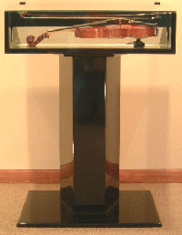 ViolinDisplayCase.jpg (18917 bytes)